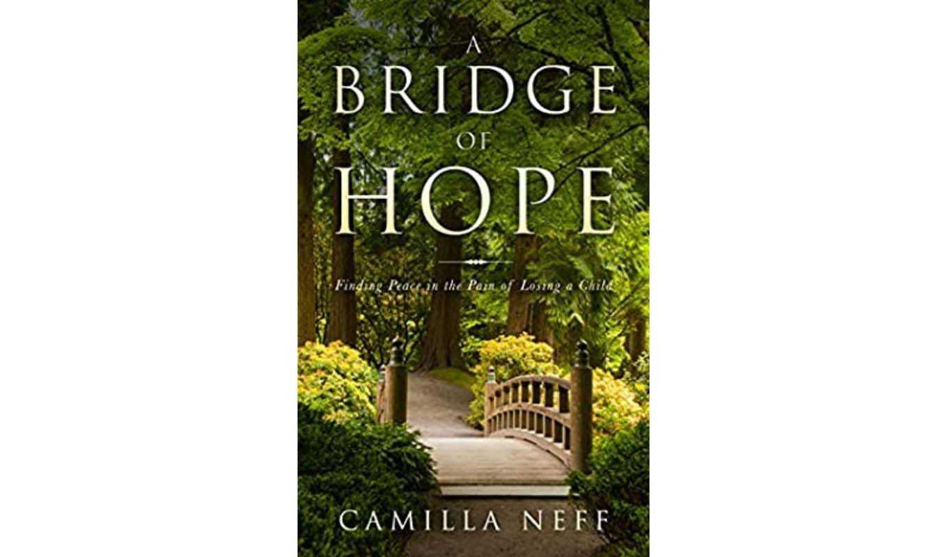 A Bridge of Hope book cover