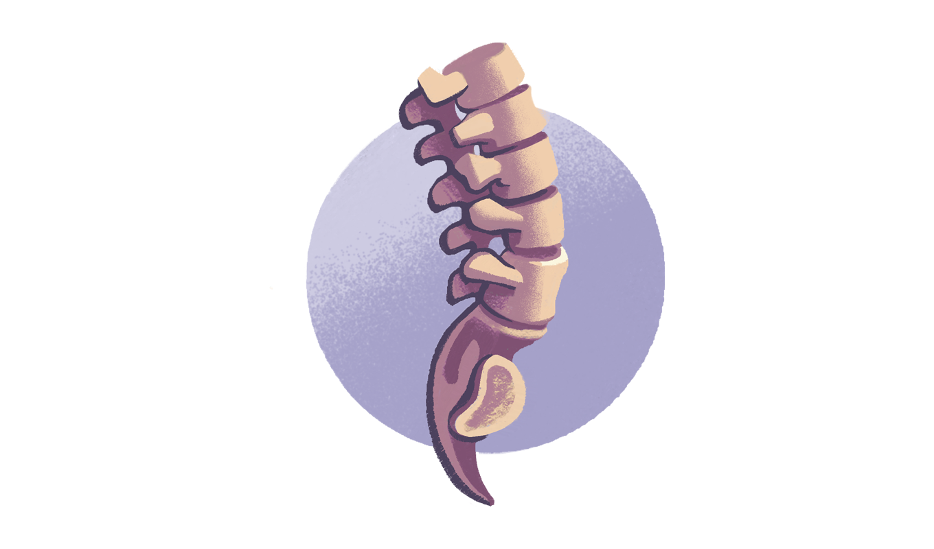 Caricature of a spine.