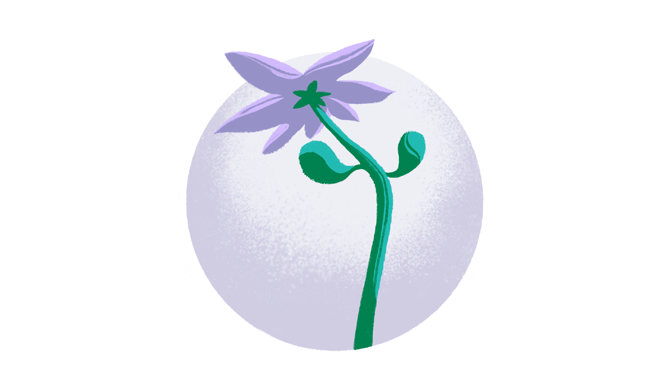 Purple flower growing well