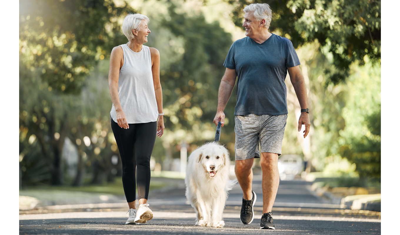 An older couple strolls down a street, happily walking their dog on a sunny day, showcasing companionship and joy.