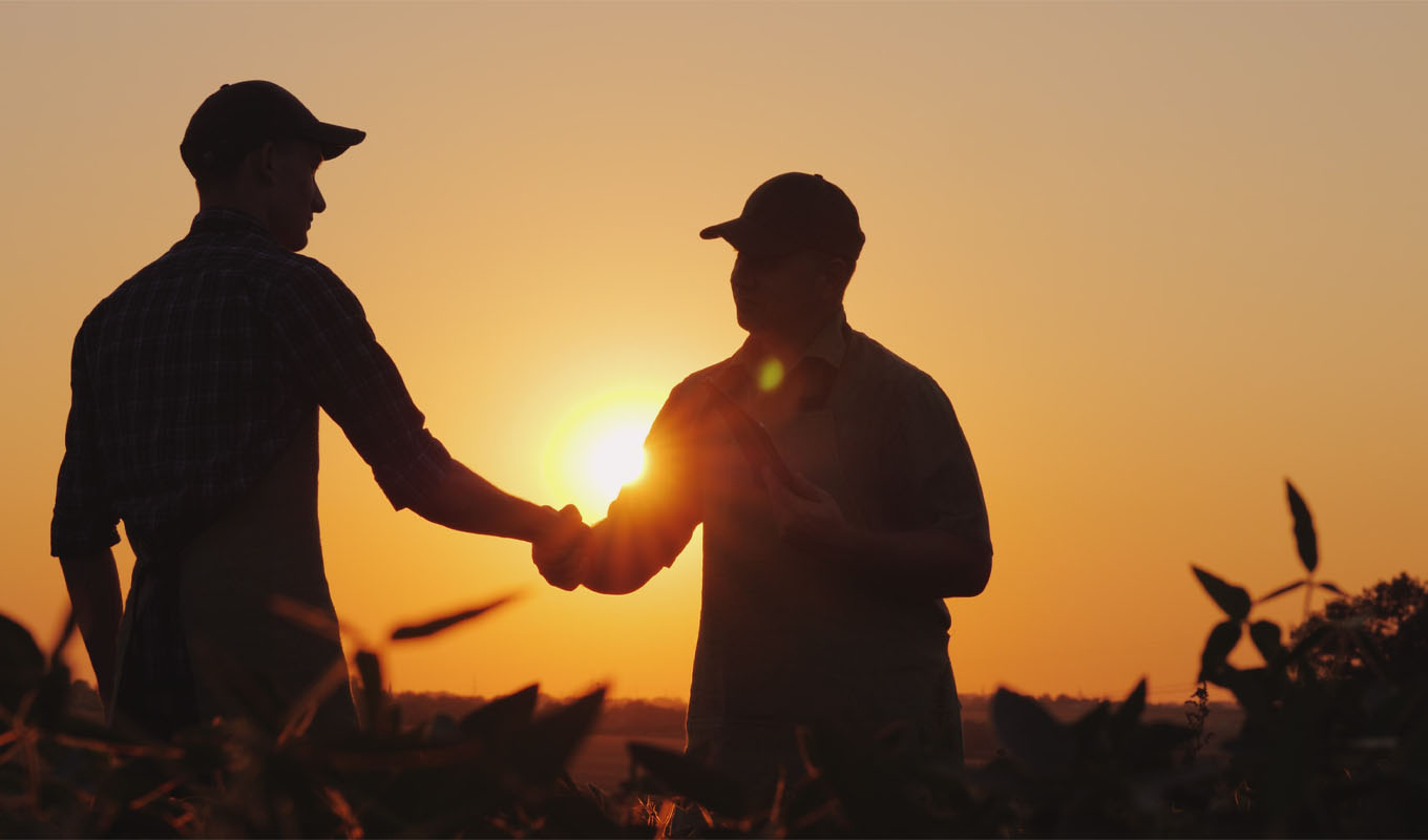 Two silhouetted people shake hands in a field at sunset, with crops in the foreground and warm light from the setting sun in the background.