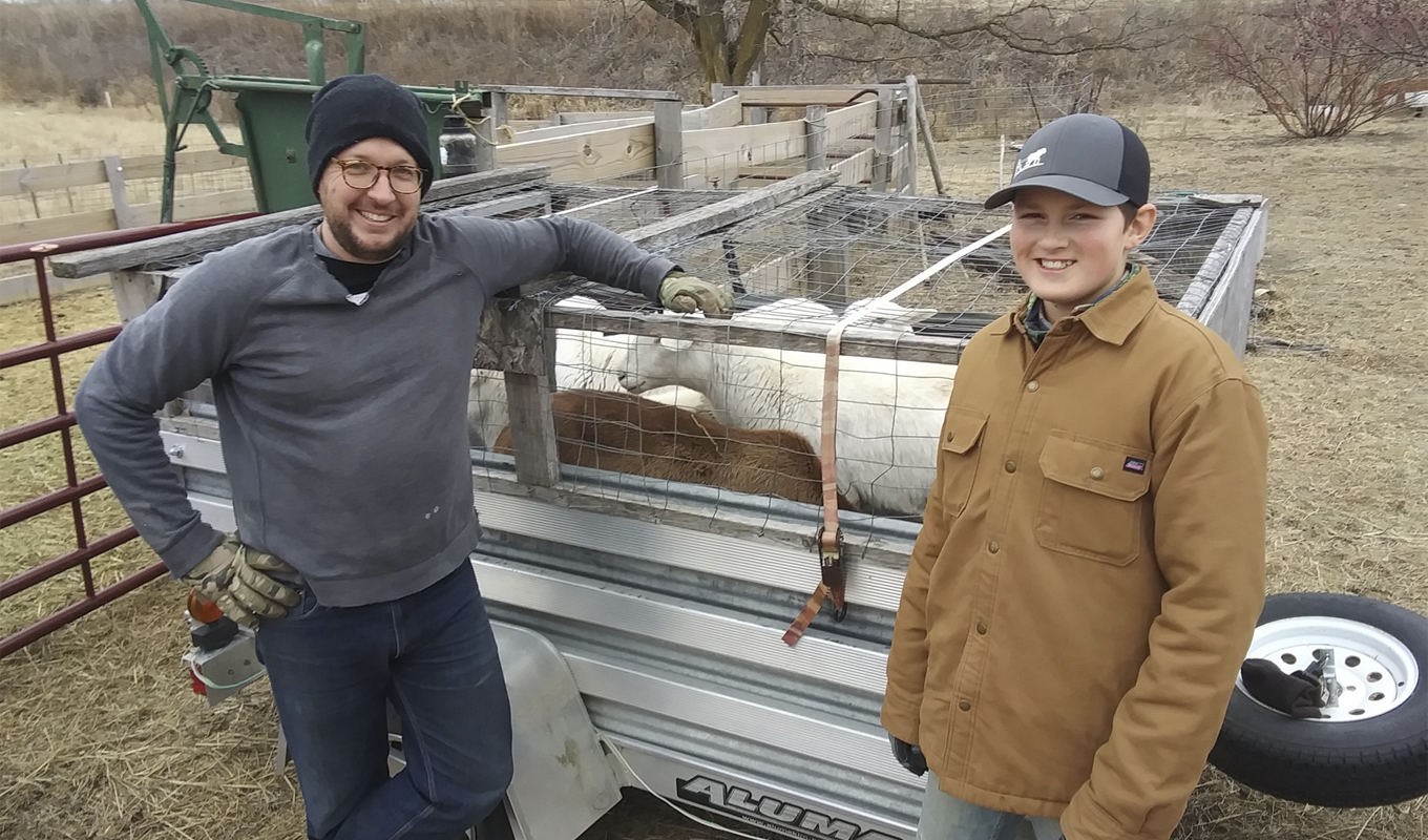 Man and boy standing by a trailer with sheep.