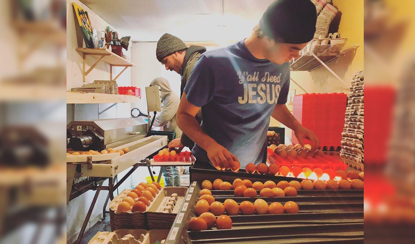 Rockside staff working on their egg production line