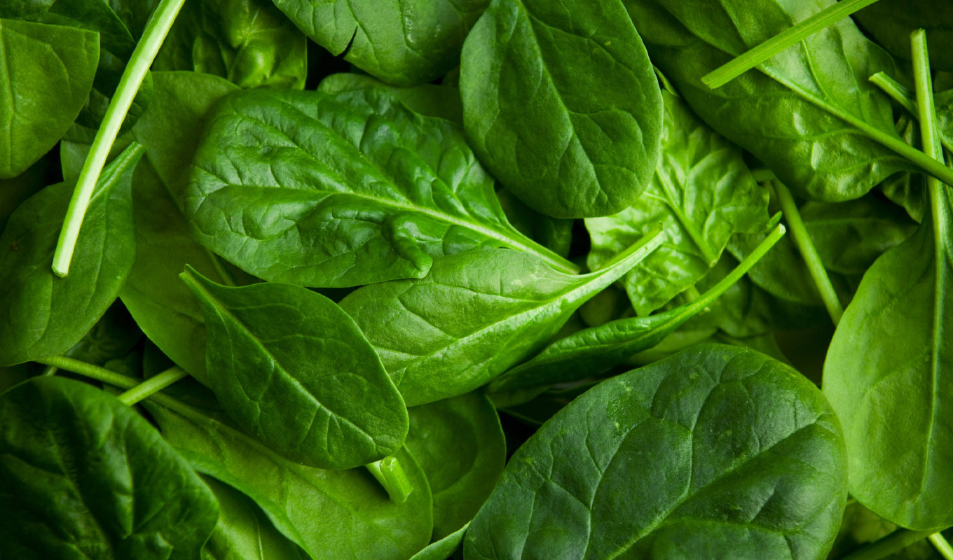 Fresh spinach leaves in a close-up overhead view, vibrant green leafy vegetables used for healthy cooking.